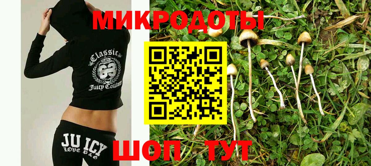 Кировск  Галлюциногенные грибы Psilocybine cubensis  Вход с VPN  Галлюциногенные грибы ЛСД 